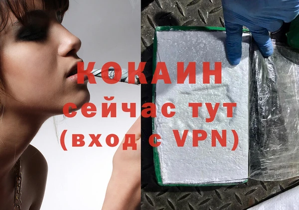 метадон Елизово