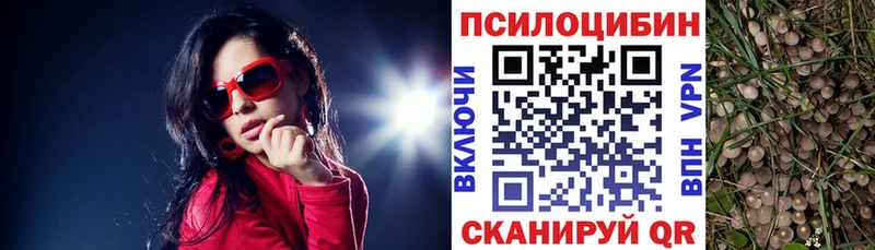 Галлюциногенные грибы MAGIC MUSHROOMS  Касимов 